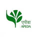 WhatsApp Image 2025-12-17 at 11.01.23 PM